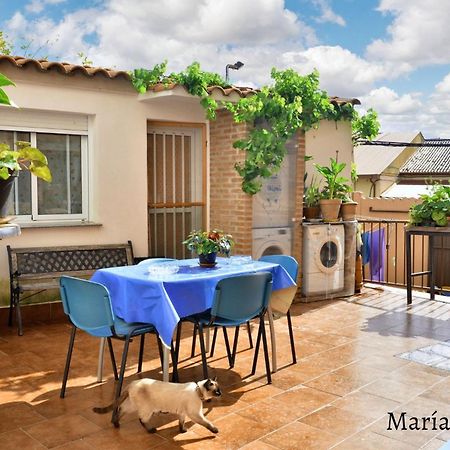 Comfortable Apartment In Caceres 55 M² Welcoming Terrace 외부 사진