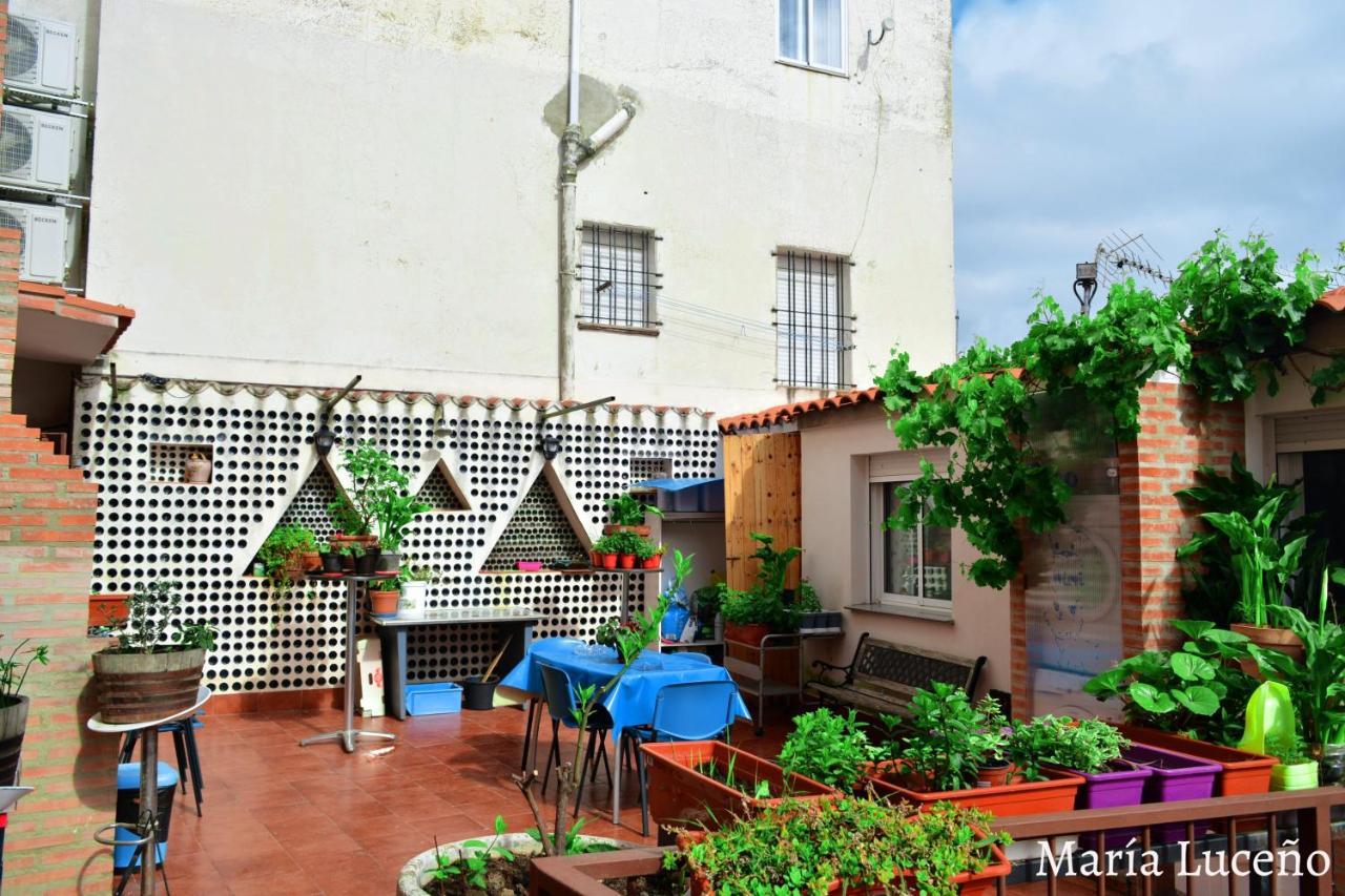 Comfortable Apartment In Caceres 55 M² Welcoming Terrace 외부 사진