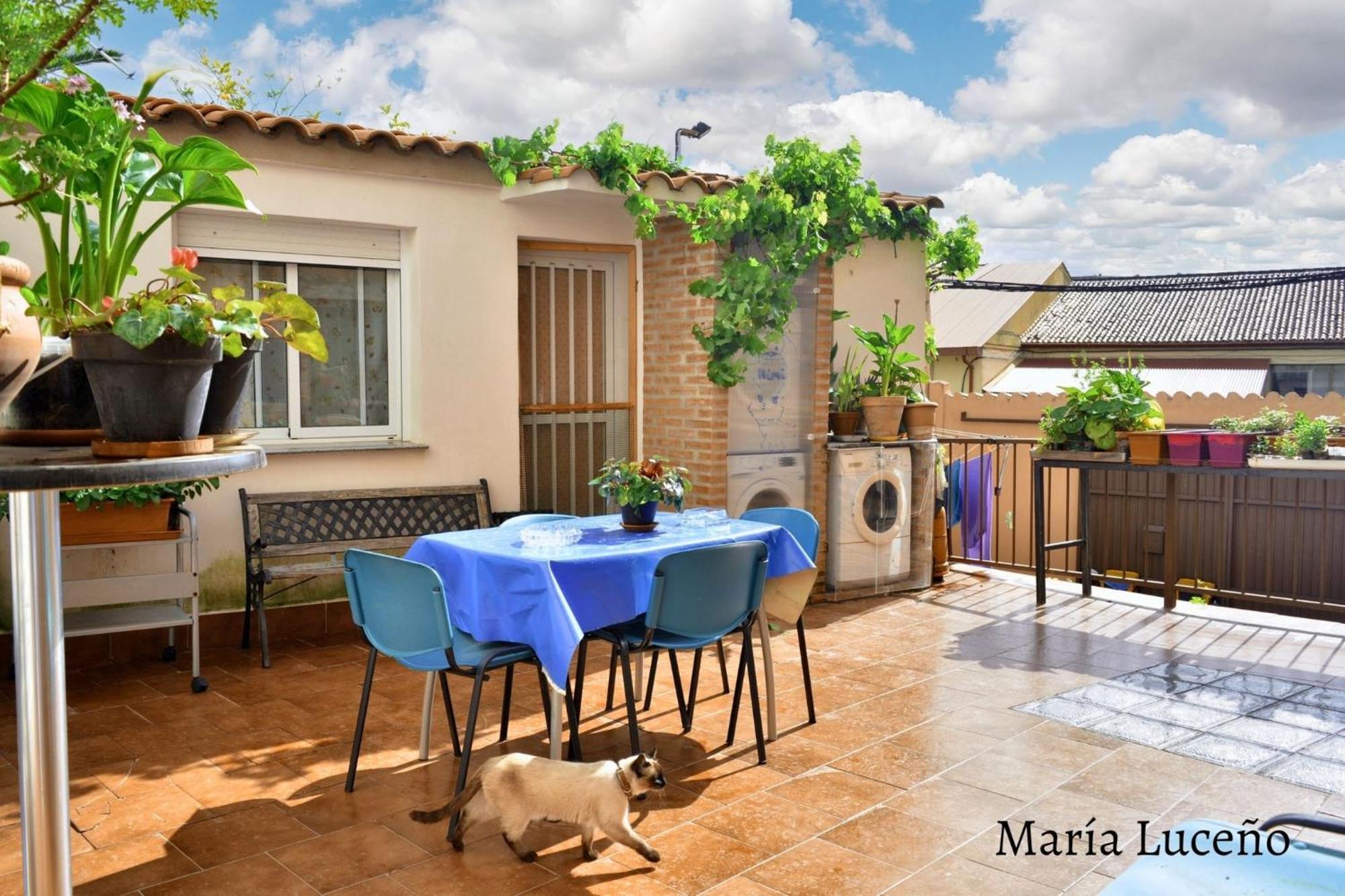 Comfortable Apartment In Caceres 55 M² Welcoming Terrace 외부 사진